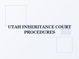 Utah Inheritance Court Procedures and Legal Options